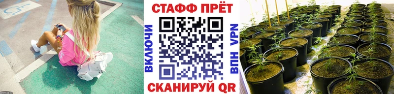Виды наркотиков купить Шенкурск ссылка на мегу как войти  А ПВП  Гашиш  Cocaine  Марихуана 