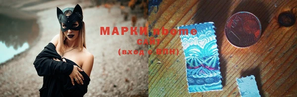 прущие грибы Белокуриха