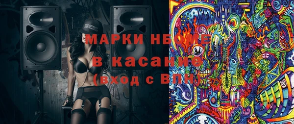 прущие грибы Белокуриха