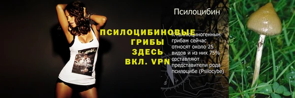прущие крисы Беломорск