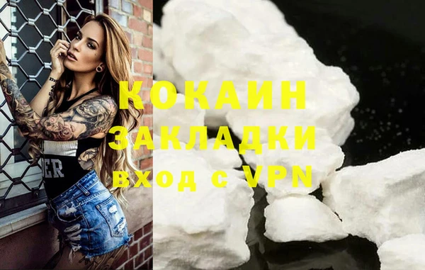прущие грибы Белокуриха