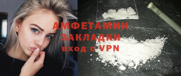 прущие грибы Белокуриха