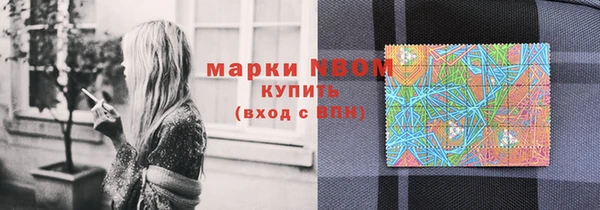 прущие грибы Белокуриха