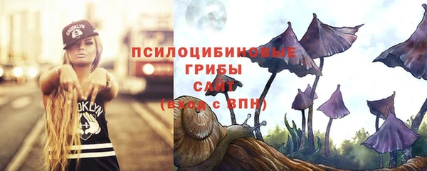 прущие крисы Беломорск