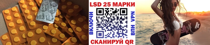 где купить наркоту  Шенкурск  ЛСД экстази кислота 
