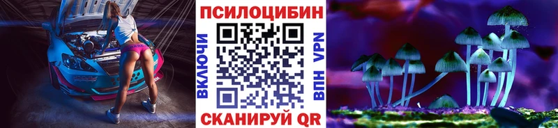 Галлюциногенные грибы Magic Shrooms  закладка  блэк спрут зеркало  Шенкурск 